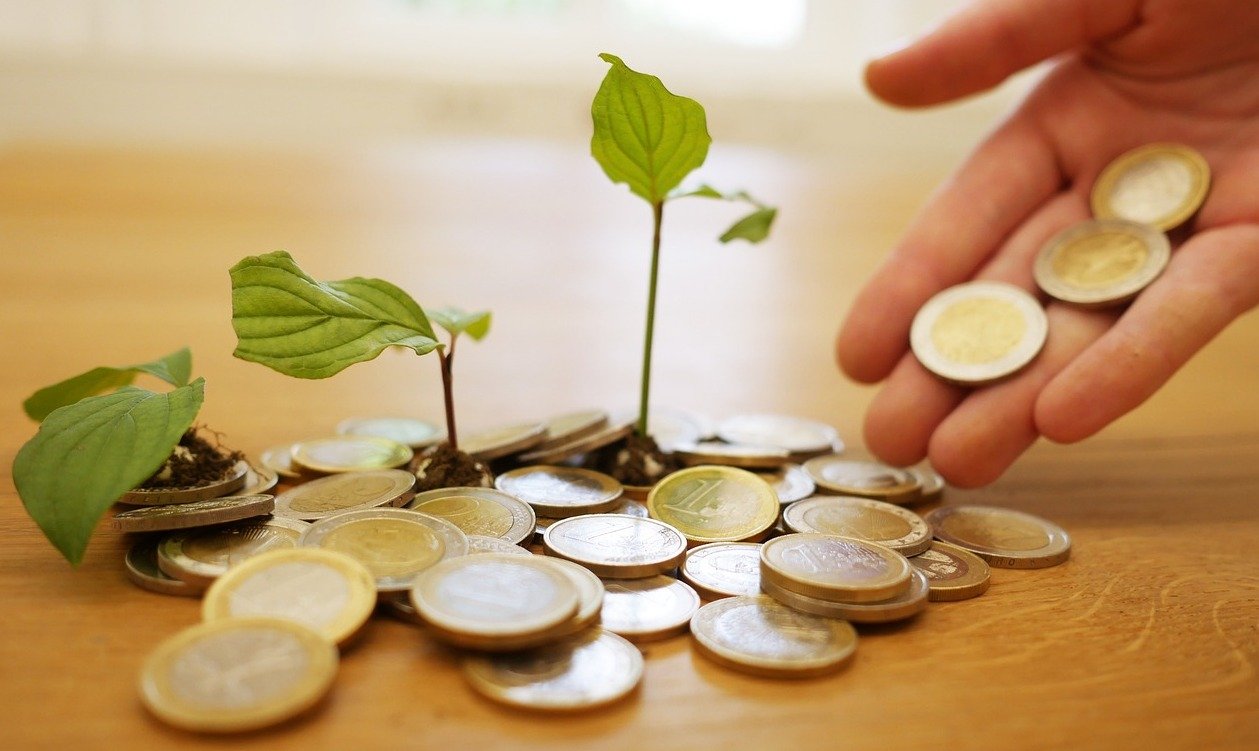 TIPOS DE INVESTIMENTOS Planta com moedas